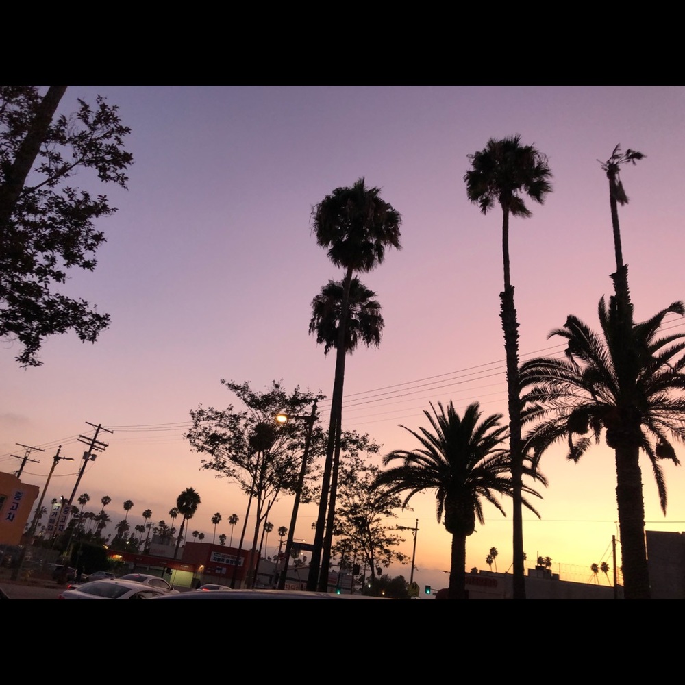 Meet your Posher, Vanessa